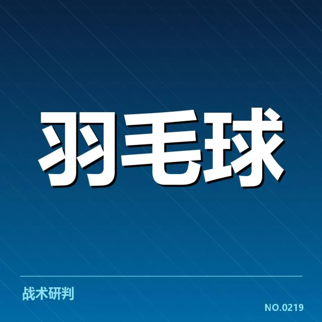 羽毛球双打战术升级：顶级组合能否持续制胜
